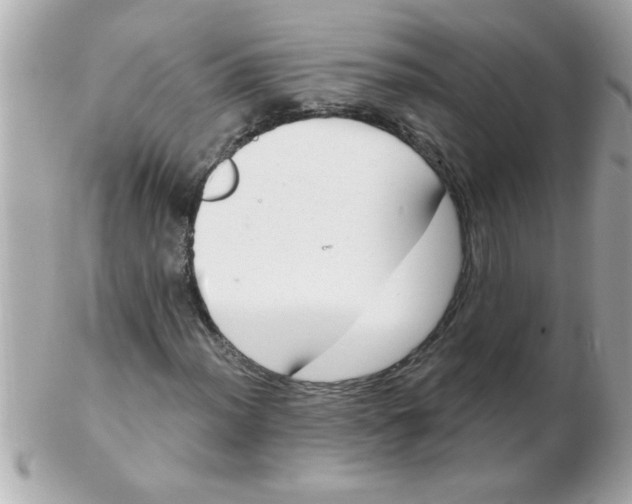 X0000102531012200808291815