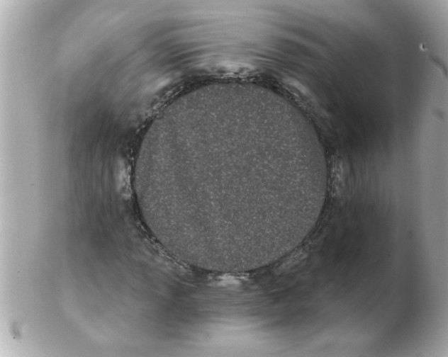 X0000102531013200808291815