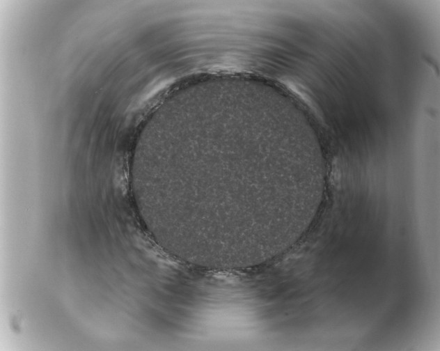 X0000102531015200808291815