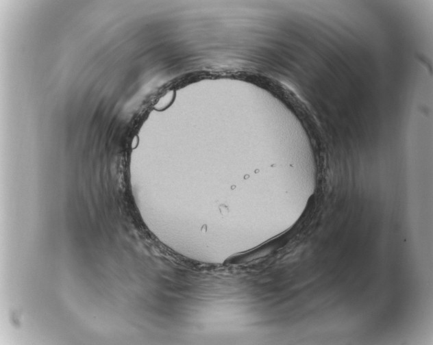 X0000102531016200808291815