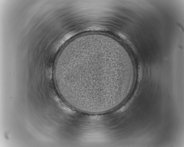 X0000102531017200808291815