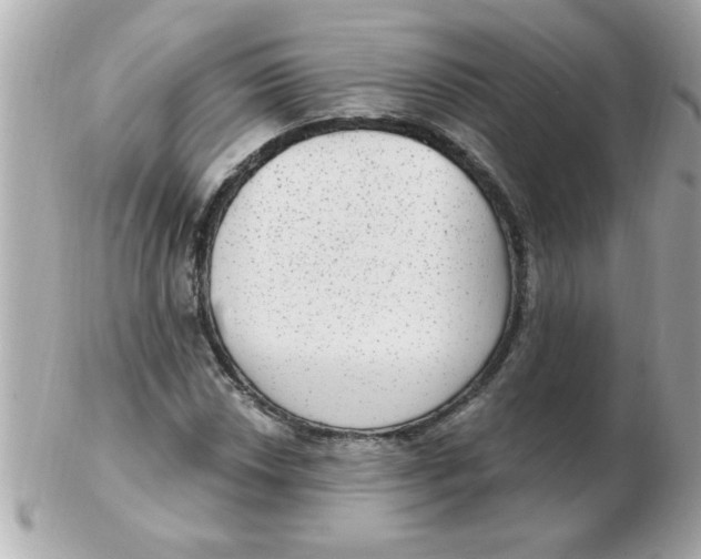 X0000102531018200808291815