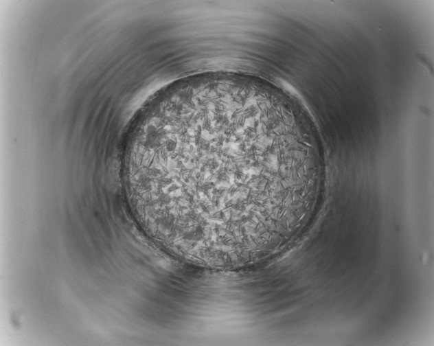 X0000102531019200808291815