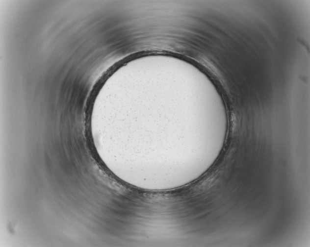 X0000102531020200808291815