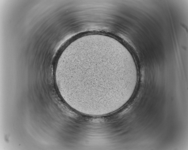 X0000102531021200808291815