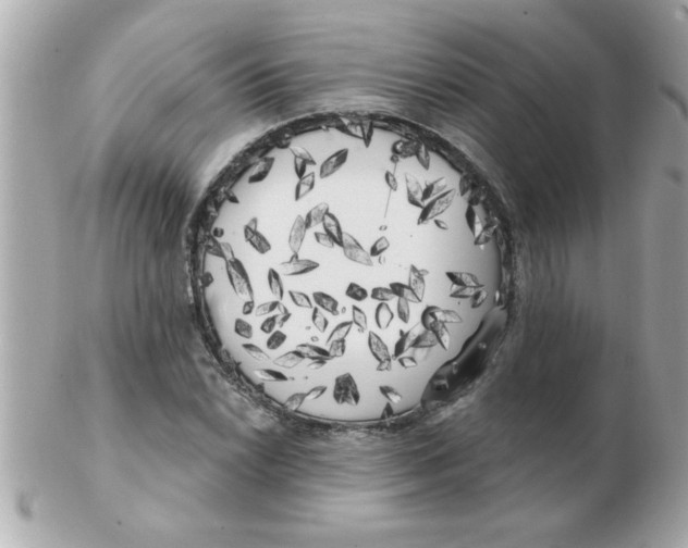 X0000102531022200808291815