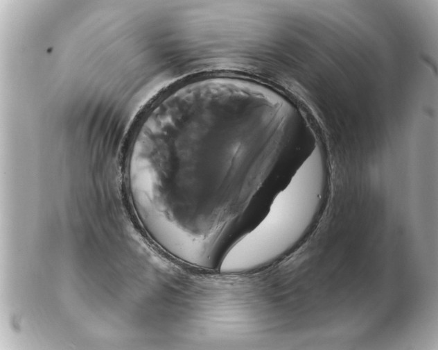 X0000102531024200808291815