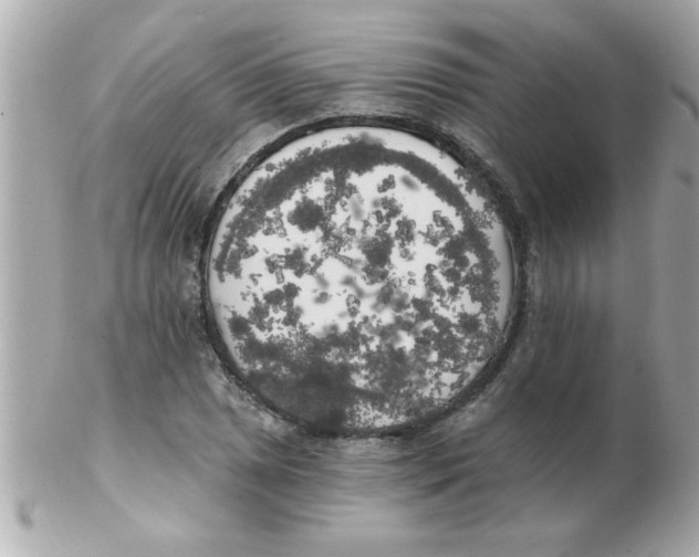 X0000102531025200808291815