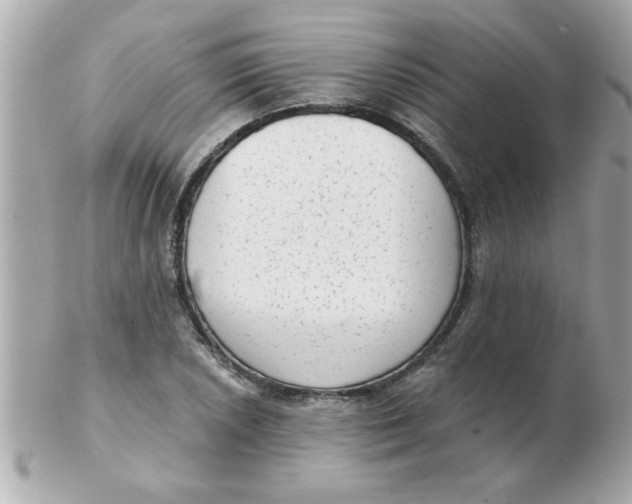 X0000102531026200808291815