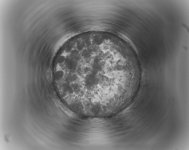 X0000102531027200808291815