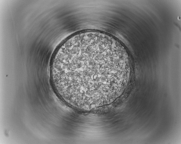 X0000102531028200808291815