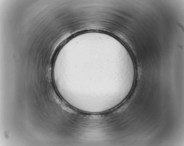 X0000102531029200808291815