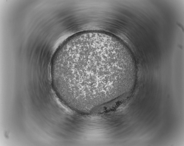 X0000102531030200808291815