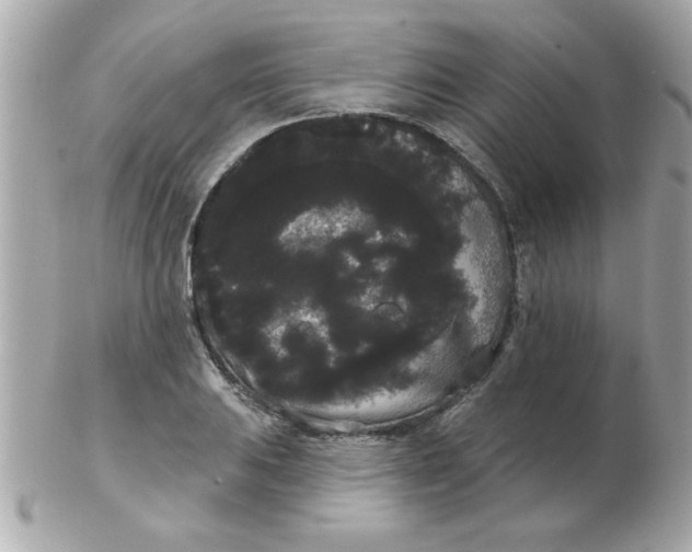 X0000102531031200808291815