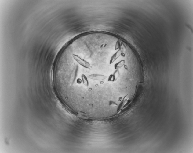 X0000102531032200808291815