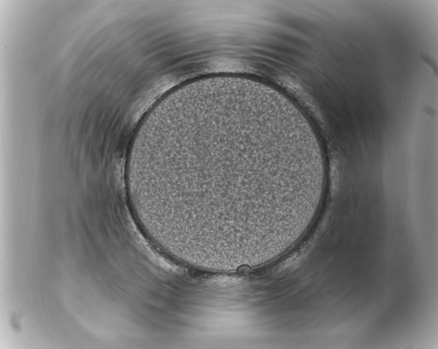 X0000102531033200808291815