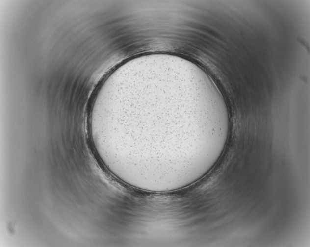 X0000102531034200808291815