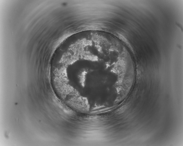 X0000102531035200808291815