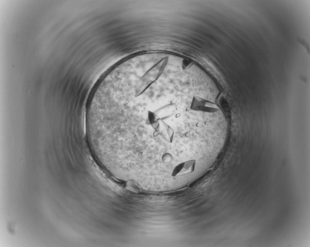 X0000102531036200808291815