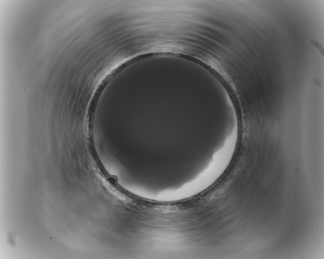 X0000102531037200808291815