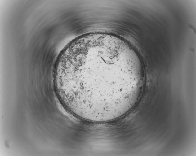 X0000102531038200808291815