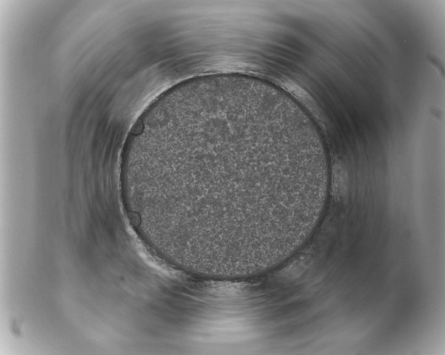 X0000102531039200808291815