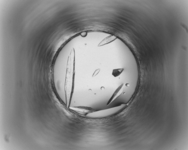 X0000102531040200808291815