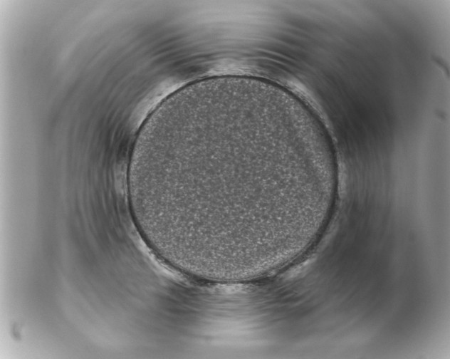 X0000102531041200808291815