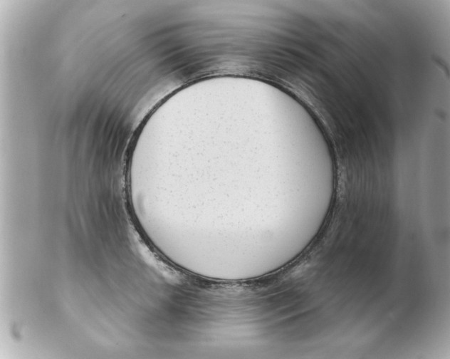 X0000102531042200808291815