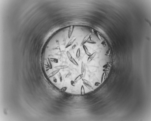 X0000102531043200808291815