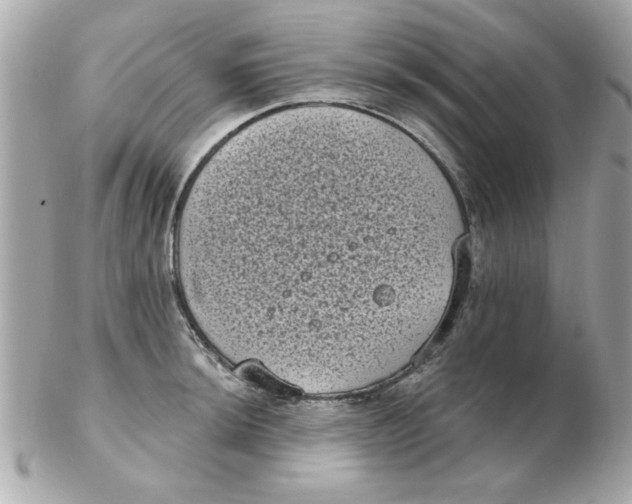 X0000102531044200808291815