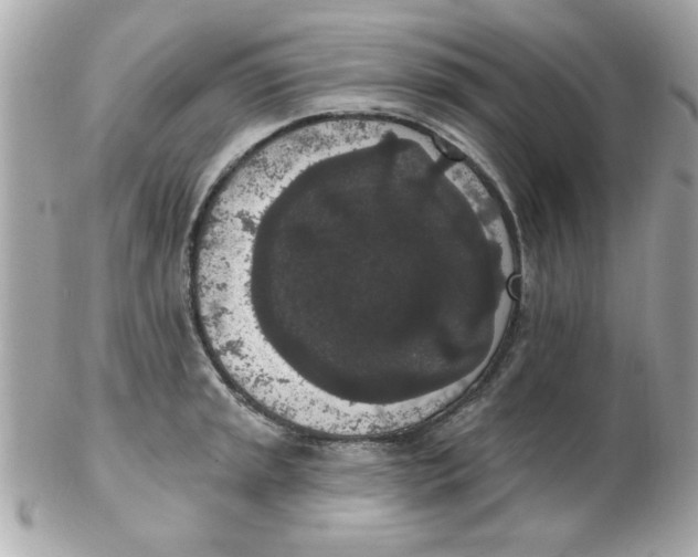 X0000102531045200808291815