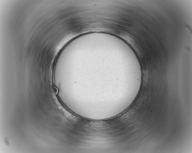 X0000102531046200808291816