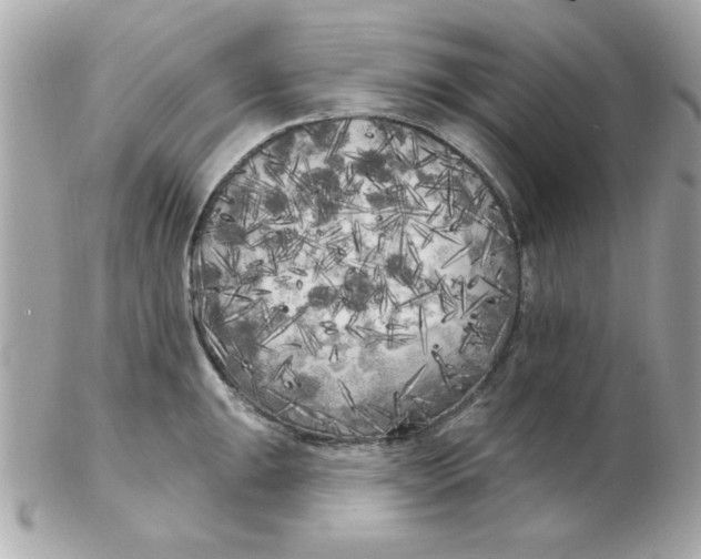 X0000102531047200808291816