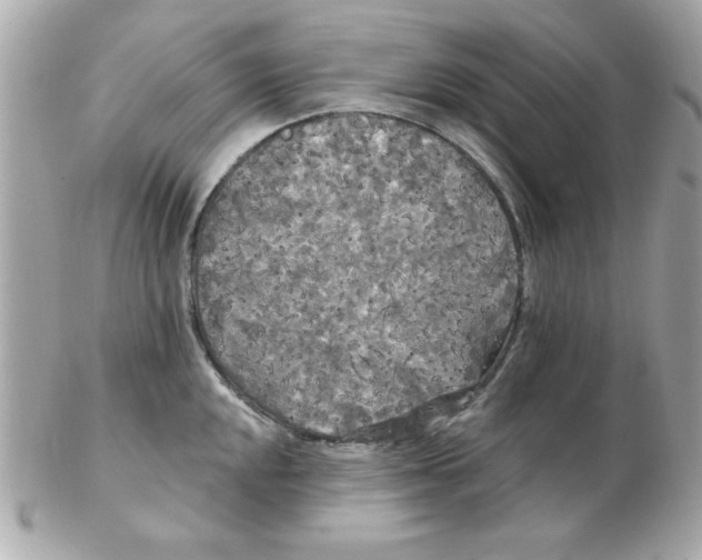 X0000102531048200808291816