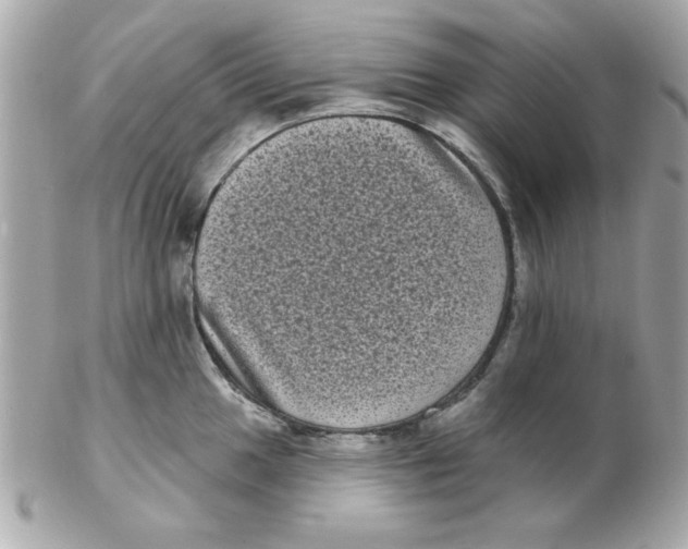 X0000102531049200808291816