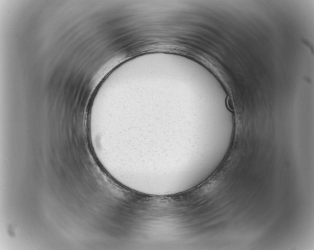 X0000102531050200808291816