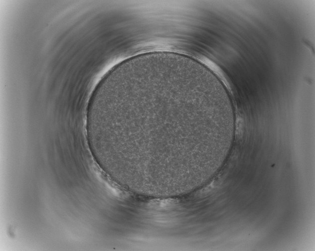 X0000102531051200808291816