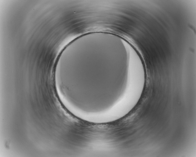 X0000102531053200808291816