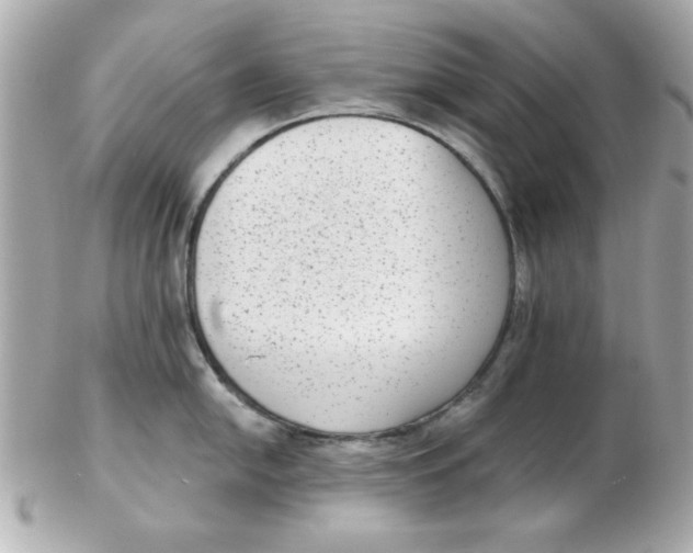 X0000102531054200808291816