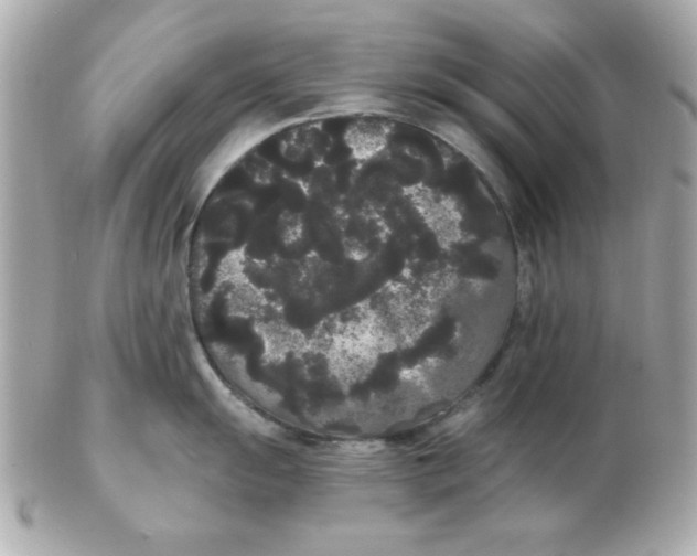 X0000102531055200808291816