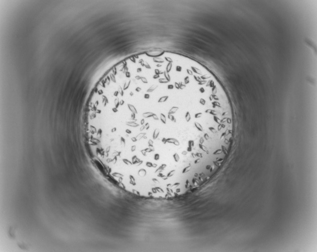 X0000102531056200808291816