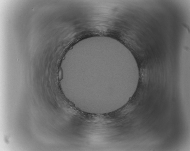 X0000102531057200808291815