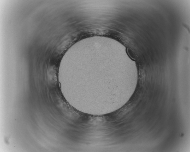 X0000102531058200808291815