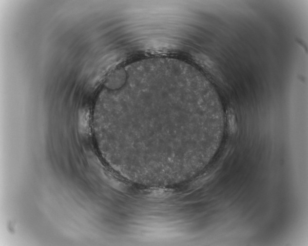 X0000102531060200808291815