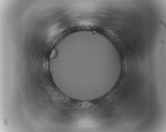 X0000102531061200808291815