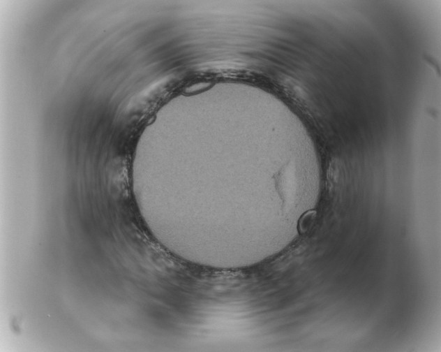 X0000102531062200808291815