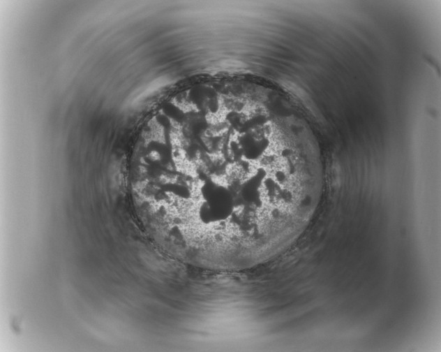 X0000102531063200808291815