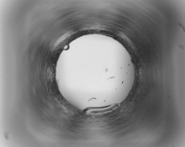 X0000102531064200808291815