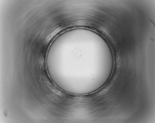 X0000102531065200808291815